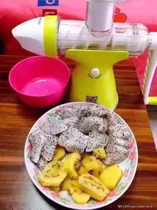 果語(yǔ)榨汁機(jī)廠家直銷 享受正品批發(fā)價(jià)格，輕松制作健康蔬菜汁