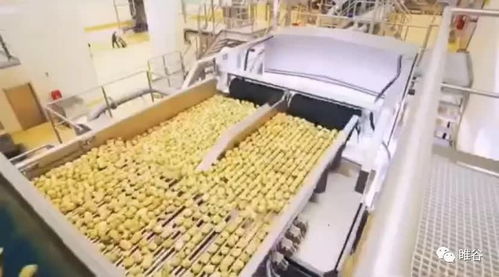 佳盛企智深加工共享工廠 創(chuàng)新農(nóng)產(chǎn)品生產(chǎn)模式，助力蔬菜產(chǎn)業(yè)升級(jí)