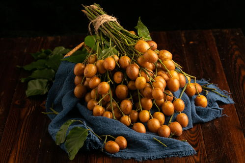 金黃盛夏 黃皮果的鏡頭美學(xué)