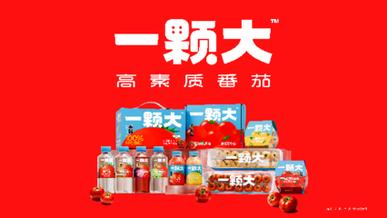 一顆大櫻桃番茄的東南亞之旅 中國蔬菜“出?！卑鎴D再拓展